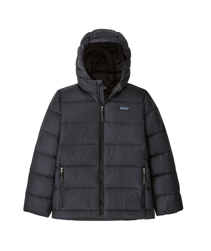 Patagonia Kids' Hi-Loft Down Sweater Hoody
